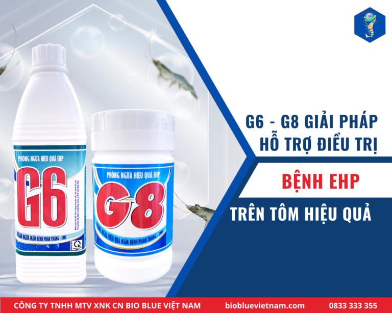 bo-doi-loc-phat-dieu-tri-benh-ehp