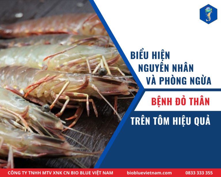 benh-do-than-tren-tom