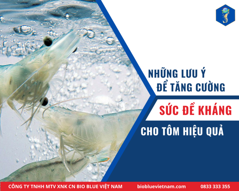 tang-suc-de-khang-cho-tom