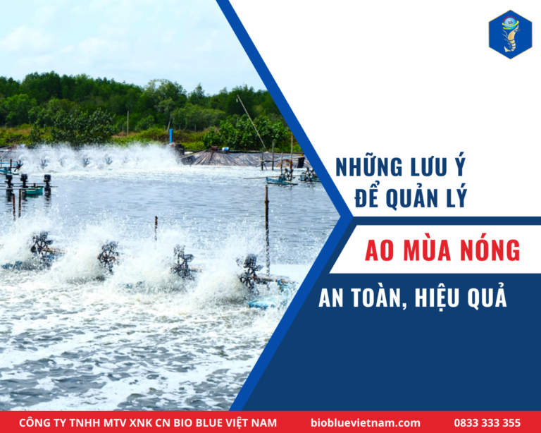 quan-ly-ao-nuoi-mua-nong