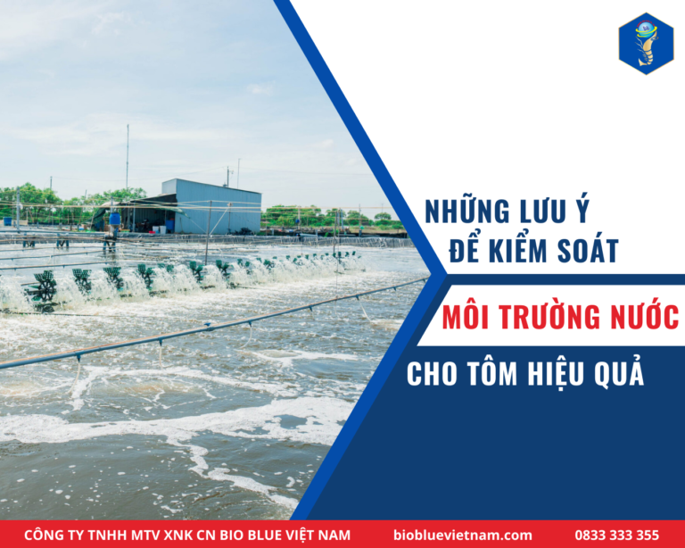 KIEM-SOAT-MOI-TRUONG-NUOC-CHO-TOM