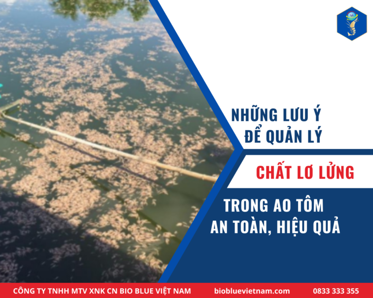 quan-ly-chat-lo-lung
