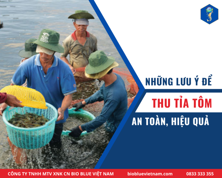 nhung-luu-y-de-thu-tia-tom-an-toan-hieu-qua