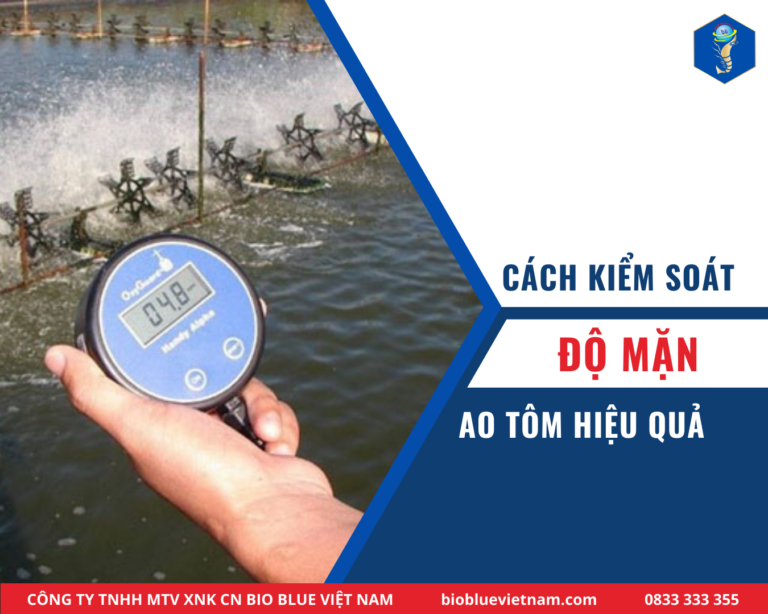 KIỂM SOÁT ĐỘ MẶN AO TÔM