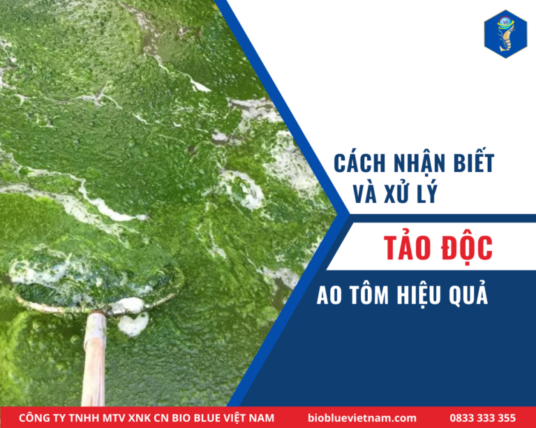 xu-ly-tao-doc-ao-tom