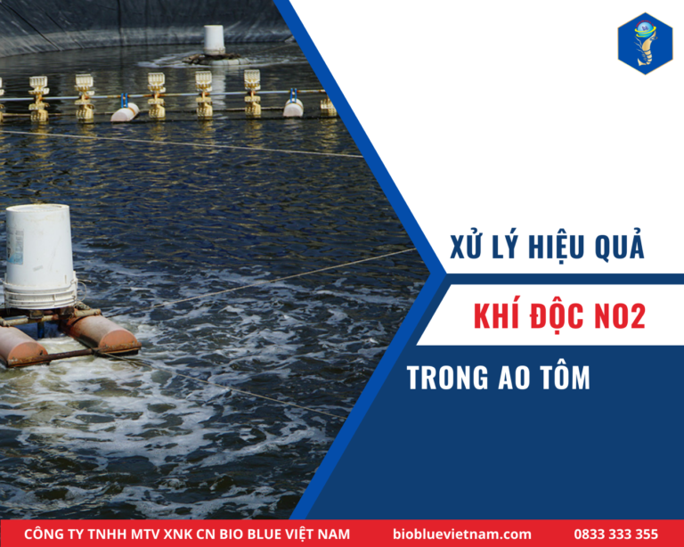 XỬ LÝ HIỆU QUẢ KHÍ ĐỘC NO2 TRONG AO TÔM