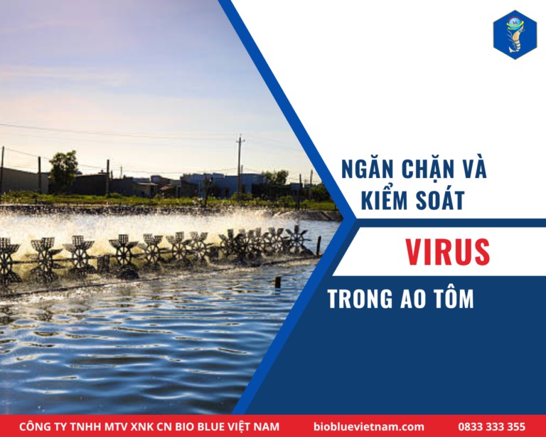 NGĂN CHẶN VÀ KIỂM SOÁT VIRUS TRONG AO