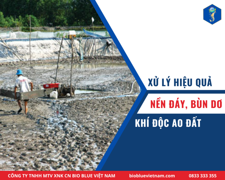 XỬ LÝ NỀN ĐÁY, BÙN DƠ, KHÍ ĐỘC AO ĐẤT