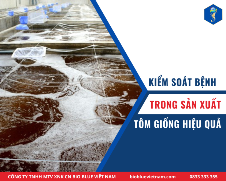 Kiểm soát bệnh trong sản xuất tôm giống