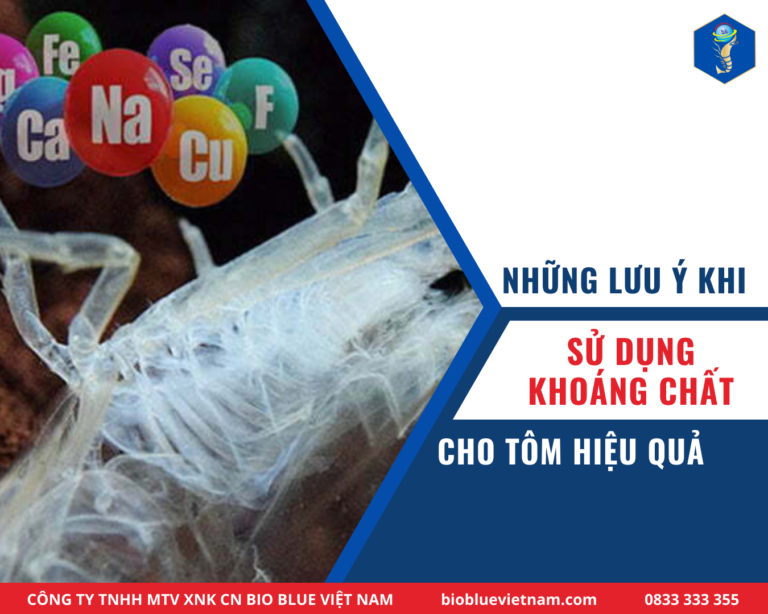 NHỮNG LƯU Ý KHI SỬ DỤNG KHOÁNG CHẤT CHO TÔM HIỆU QUẢ