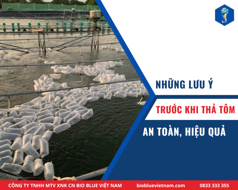 NHỮNG LƯU Ý TRƯỚC KHI THẢ TÔM