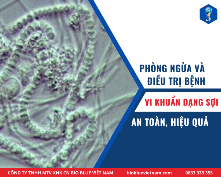 PHÒNG NGỪA VÀ ĐIỀU TRỊ BỆNH VI KHUẨN DẠNG SỢI TRÊN TÔM