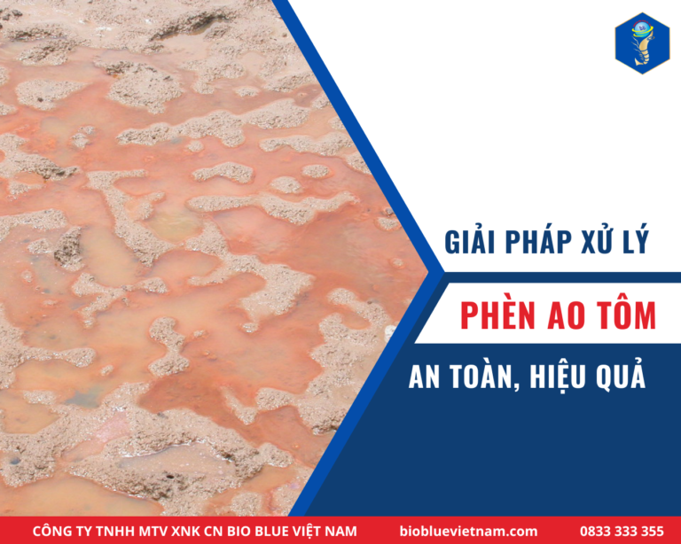 giai-phap-xu-ly-phen-ao-tom